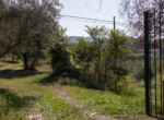 CASE valorizzate_KASA Casale cassia (4)