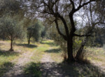 CASE valorizzate_KASA Casale cassia (5)