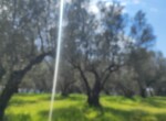 IMG-20260323-WA0051