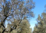 IMG-20260323-WA0054