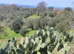 IMG-20260323-WA0070