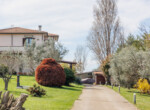 Montigliano (6)