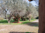 Montigliano (8)