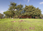 Villa La Quercia  (46)