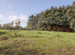 Villa La Quercia  (47)