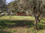 Villa La Quercia  (49)