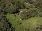 Villa La Quercia  (52)