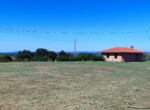 IMG-20260929-WA0031