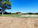 IMG-20260929-WA0033